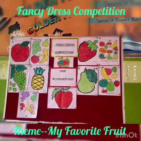 Fancy Dress Competition – Video